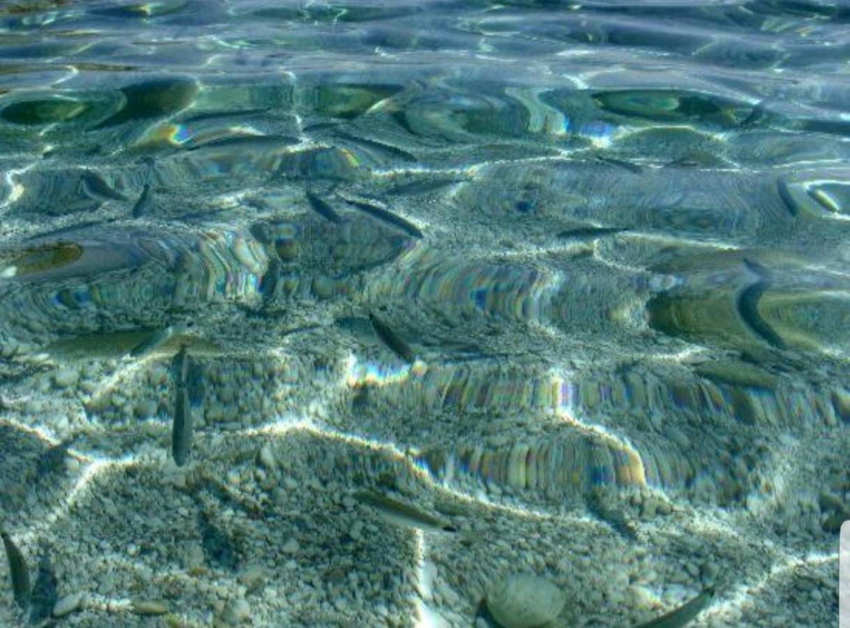 Casa Vacanze Sea-Life Alcamo Marina Kültér fotó